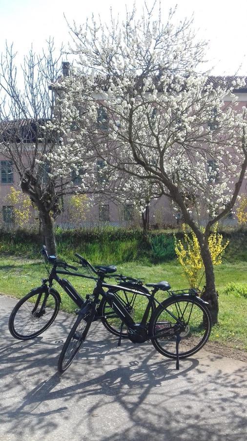 Agriturismo Casa Matilde Lauriano Ngoại thất bức ảnh